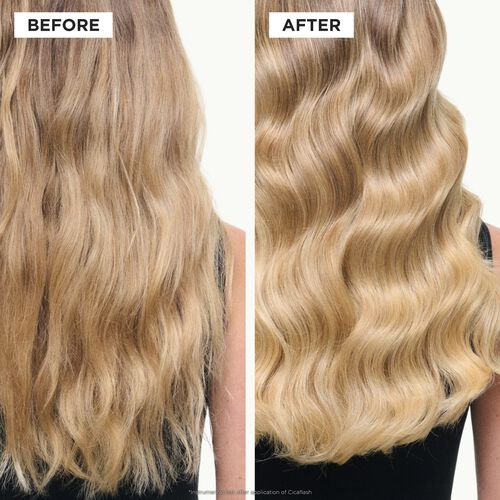 Blond Absolu Cicaflash conditioner